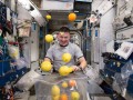 新鲜水果满舱飘：宇航员太空玩“失重游戏”